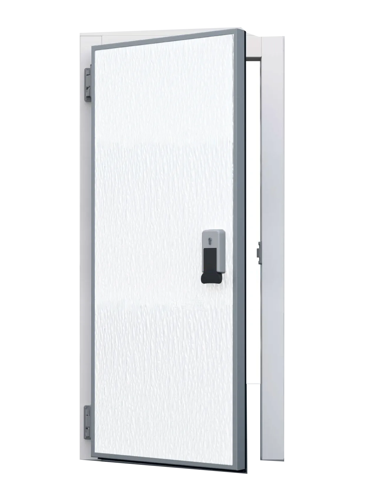 Hygienic Swing Door